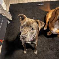 Thumbnail photo of Pixel #2