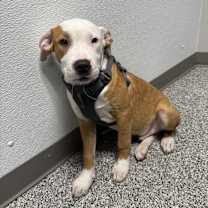 Thumbnail photo of Jonas #1