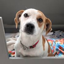 Thumbnail photo of Mirren #1