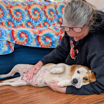 Thumbnail photo of Mirren #2