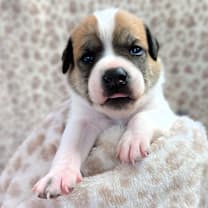 Thumbnail photo of Lorna #3