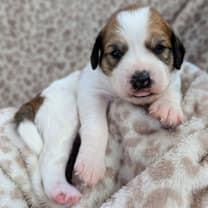 Thumbnail photo of Davina #4