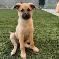 Thumbnail photo of Waldo #3