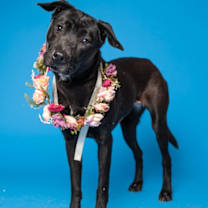 Thumbnail photo of Nami #2