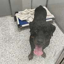 Thumbnail photo of Orbit #2