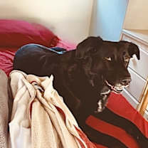 Thumbnail photo of Lucy #2