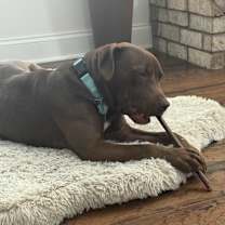 Thumbnail photo of Shane #3