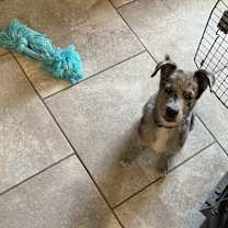 Thumbnail photo of Shadow #1