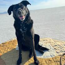 Thumbnail photo of Lucy #4