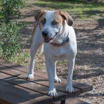 Thumbnail photo of Noodle #1