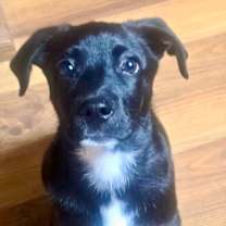 Thumbnail photo of Minnie #4