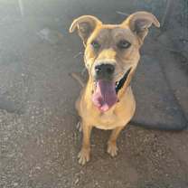 Thumbnail photo of Lucky #1