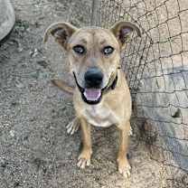 Thumbnail photo of Lucky #3