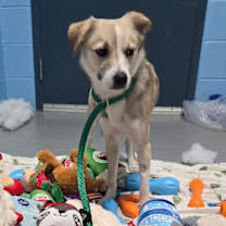 Thumbnail photo of Mateo #4