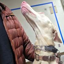 Thumbnail photo of Yang #2