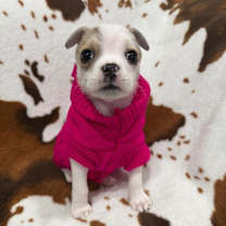 Thumbnail photo of Birdie #1