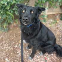 Thumbnail photo of Penny #4