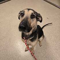 Thumbnail photo of Lucia #2