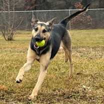 Thumbnail photo of Lucia #3