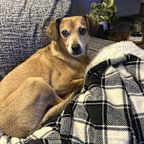 Thumbnail photo of Adam #2