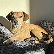 Thumbnail photo of Adam #3