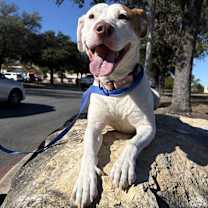 Thumbnail photo of Little Boy #2