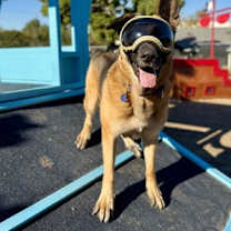 Thumbnail photo of Gunther #2