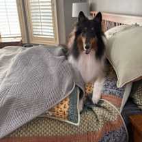 Thumbnail photo of Leo #4