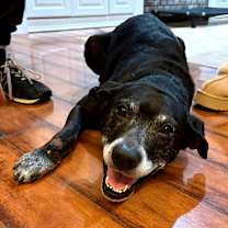 Thumbnail photo of Tres #4