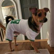 Thumbnail photo of Axle #4