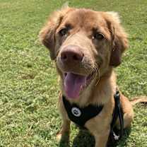 Thumbnail photo of Ruby #1