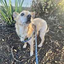 Thumbnail photo of Barrett #3