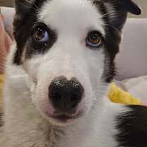 Thumbnail photo of Ashton #2