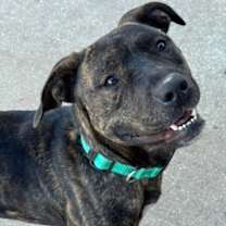 Thumbnail photo of Tom #1