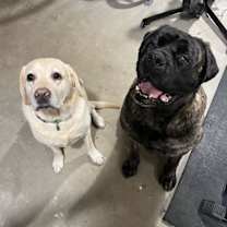 Thumbnail photo of June #1