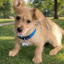 Thumbnail photo of Freddie #2