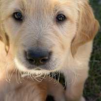 Thumbnail photo of Jimmy-2 #3