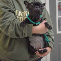 Thumbnail photo of Pepper #3