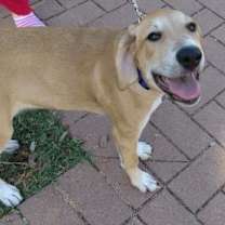 Thumbnail photo of Caroline #2