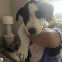 Thumbnail photo of Big Bend #2