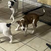 Thumbnail photo of Everglades #2