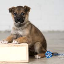 Thumbnail photo of Journey #3