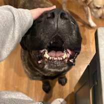 Thumbnail photo of June #3