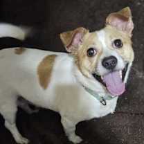 Thumbnail photo of Jack #4