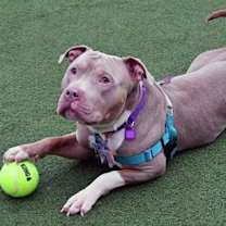 Thumbnail photo of Saint Nicholas #2