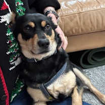 Thumbnail photo of Benny #4