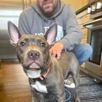 Thumbnail photo of Violet #3