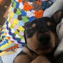 Thumbnail photo of Gary #1