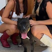 Thumbnail photo of Joey #1