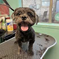 Thumbnail photo of Kimchi #1